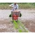 Double Row Stainless Steel Manual Rice Planter of 10 inch Row Spacing with 120/min Planting Frequency